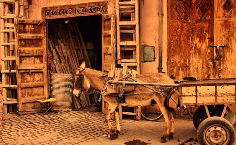 Streetphoto z Marrakesche 3