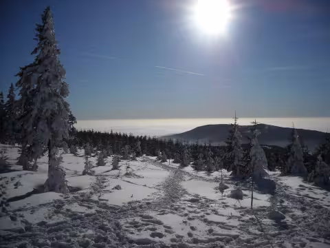 Špindl