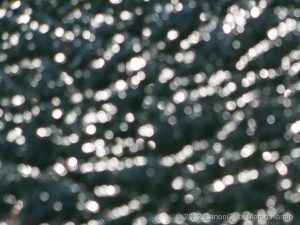 Bokeh PowerShot G1 X